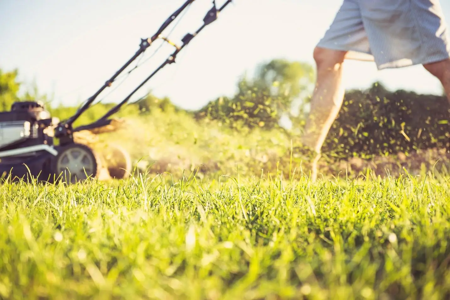 Residential lawn mowing service in the Fox Cities, Wisconsin