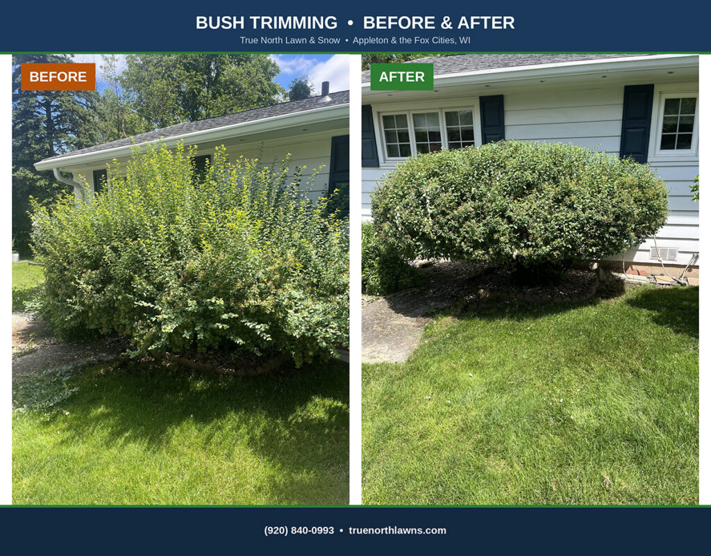 Before and after bush trimming at a residential property in Appleton, Wisconsin