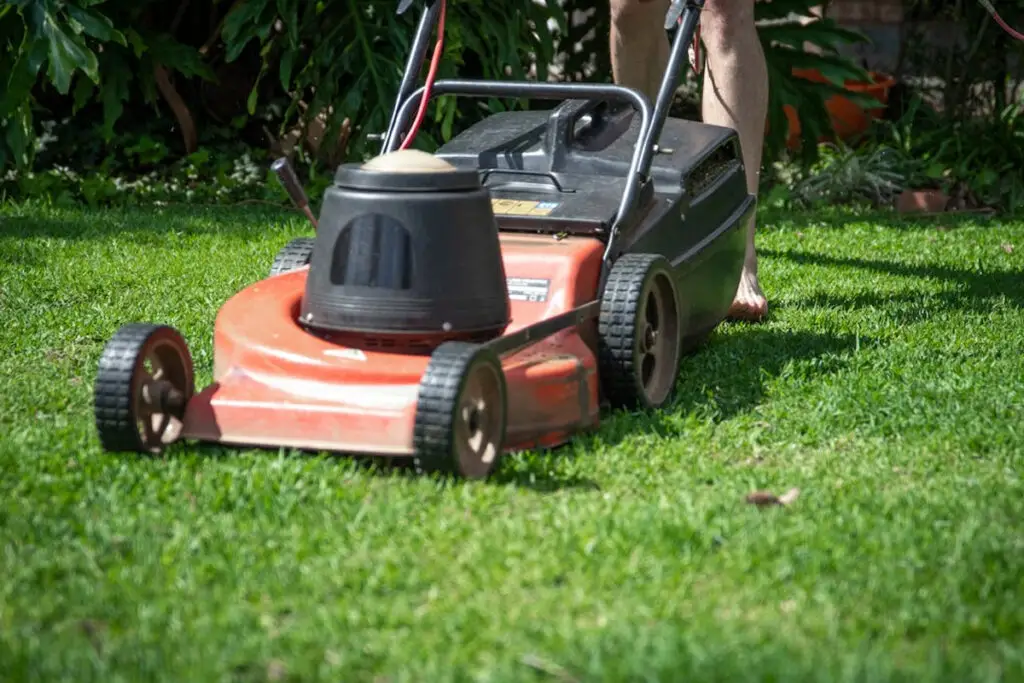First lawn mowing of the season on a residential yard in Appleton Wisconsin