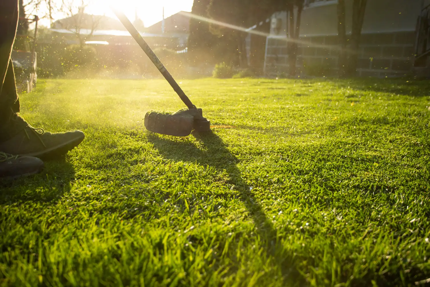 Residential lawn mowing service in the Fox Cities, Wisconsin