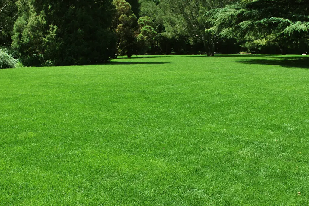 Homeowner mowing a residential lawn in Appleton Wisconsin during the growing season